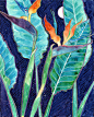 新西兰艺术家Mango Frooty作品 - Arting365 | 中国创意产业第一门户]