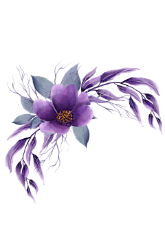 兰夕沫采集到一花一世界