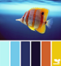 Design Seeds® | for all who ❤ color | swimmingly bright