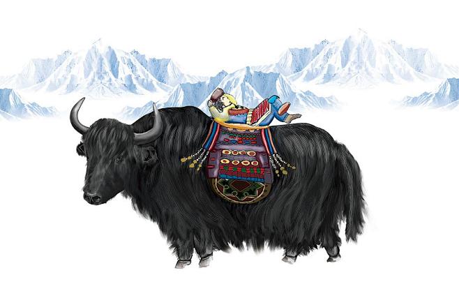 伍田--高端牦牛肉系列包装 