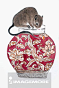 “中国传统图案 老鼠”的图片搜索结果