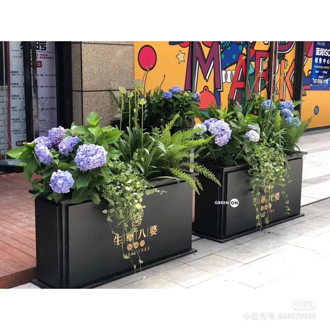 容器花园 (19)