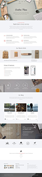 Mobius - Responsive Multi-Purpose WordPress Theme on Behance: 