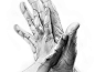 Derwent future hands