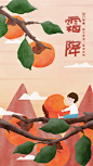二十四节气之霜降 小男孩坐在树上吃柿子 秋日概念插画 - Qin秦姑娘 - 原创作品 - 视觉中国(shijueME)