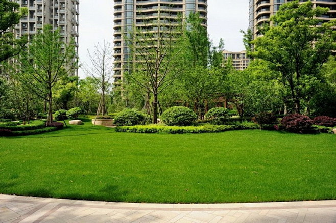 植物造景 - ABBS 论坛