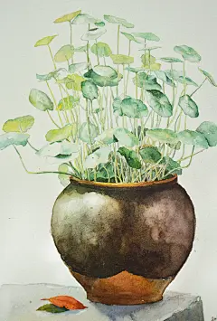 木壳人 - 涂鸦王国插画