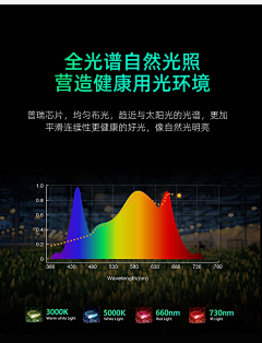 非鱼112采集到1