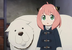栗九采集到杂