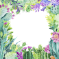 手绘水彩多肉仙人掌盆栽绿色植物装饰插画AI矢量图+V 2711396514 进群获取素材矢量源文件，请告知关键词S002