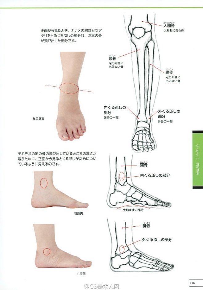 #绘画参考学习#手脚画法参考