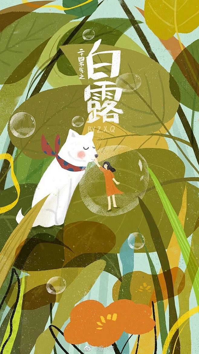 #闪屏#节气#二十四节气#插图#插画#白...