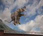 自然,户外,数码合成,动物,滑板运动_161133533_Elephant skateboarding on railing_创意图片_Getty Images China