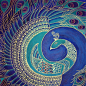 Beautiful peacock fabric.