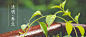 清明 #APP# #活动页面# #UI# #Banner# #素材#