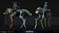 Dax Duviri, Samuel Compain-Eglin : Dax Duviri ridding his horse !