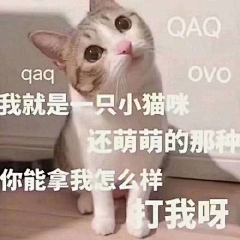 沉迷增肥日渐消瘦采集到猫咪表情包