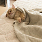 猫咪头像_女生头像_我要个性网