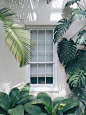 #lalaberlin #lalaleaves #greenleaves