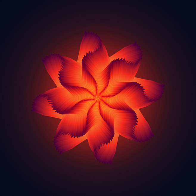 Midnight Bloom 2nd P...