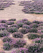 1571734507_Formentera_Website_02