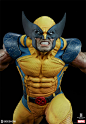 【SOLD】 Sideshow SS Marvel X战警漫画 金刚狼 Wolverine雕像-淘宝网