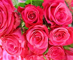 玫瑰,红色,花蕾,花束,绿色,贺卡,热情,婚姻,希腊,二月