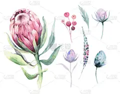 手绘分离水彩花卉插图与普罗蒂亚玫瑰, 树叶, 树枝和花朵。波希米亚金色水晶框架。结婚贺卡的要点.
