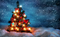 General 2560x1600 Christmas fir trees Christmas Tree