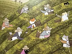 采茶去 - 小红书