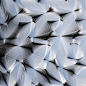 Generative design functions as picture resource focusing on parametric architecture and generative design.   (via rubiaceae)