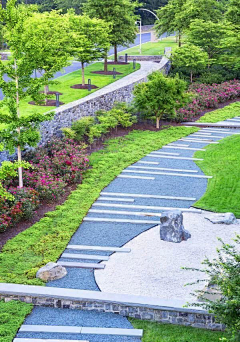 西柚花蜜茶采集到园路