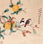 田世光花鸟工笔画
田世光（1916—1999年），祖籍山东乐陵，世居北京西海淀六郎庄。师承张大千、赵梦朱、吴镜汀、于非闇、齐白石诸先生。早年拜张大千门下，为大风堂弟子之一。
早年求学于京华美术学院，专攻国画花鸟，解放前在北平国立艺专任教，曾任中央美院教授。他长期从事花鸟、山水画创作，继承了 ​​​​...展开全文c