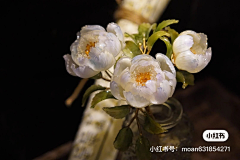 酱酱酱❀采集到各种饰品