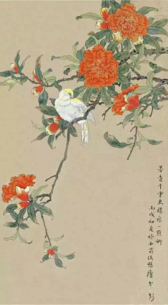 酱油冬瓜菌采集到中国传统美术