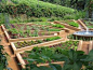 Food Garden Design