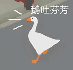 大鹅表情包合集 ​​​​