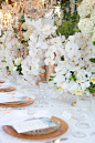 这场婚礼  带你走进白色梦花园！