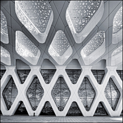 HUANG-GRAY采集到Polygon division