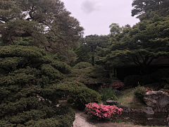 设计师升亚采集到【日本】京都御所