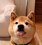来自相册