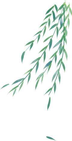 潇氵西人生~采集到光