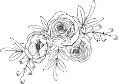 花轮廓   - 源文件下载【酷图网】花轮廓,简笔画,手绘画,插图,儿童绘本,黑白图片,勾线图,植物,花朵,鲜花