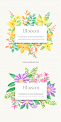 手绘鲜花分层海报贺卡_PSD：