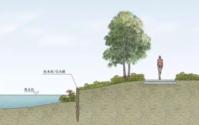 专题研究 | 乡村湿地设计中生态驳岸的技...