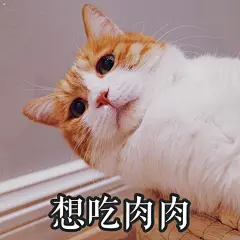 #著名网黄猫日# 黄猪猪表情包好运降临拜托了 ​​​​