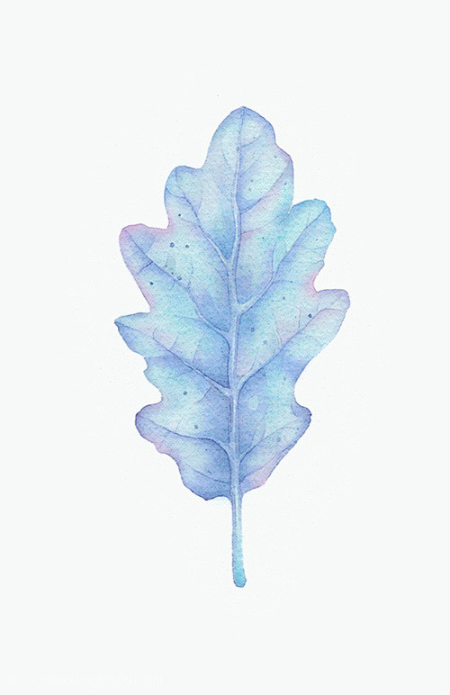 手绘 水彩 星空 彩虹荧光渐变 橡树树叶...