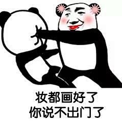 39176妆都画好了，你说不出门了 斗图 表情包 花瓣搜索【关键字+飞天胖虎】可以找到系列表情包
