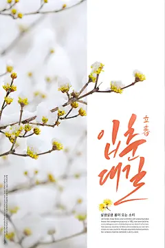 立春春夏季节植物鲜花油菜花蓝天桃花唯美植物海报PSD设计素材317-淘宝网