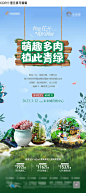 多肉DIY活动海报